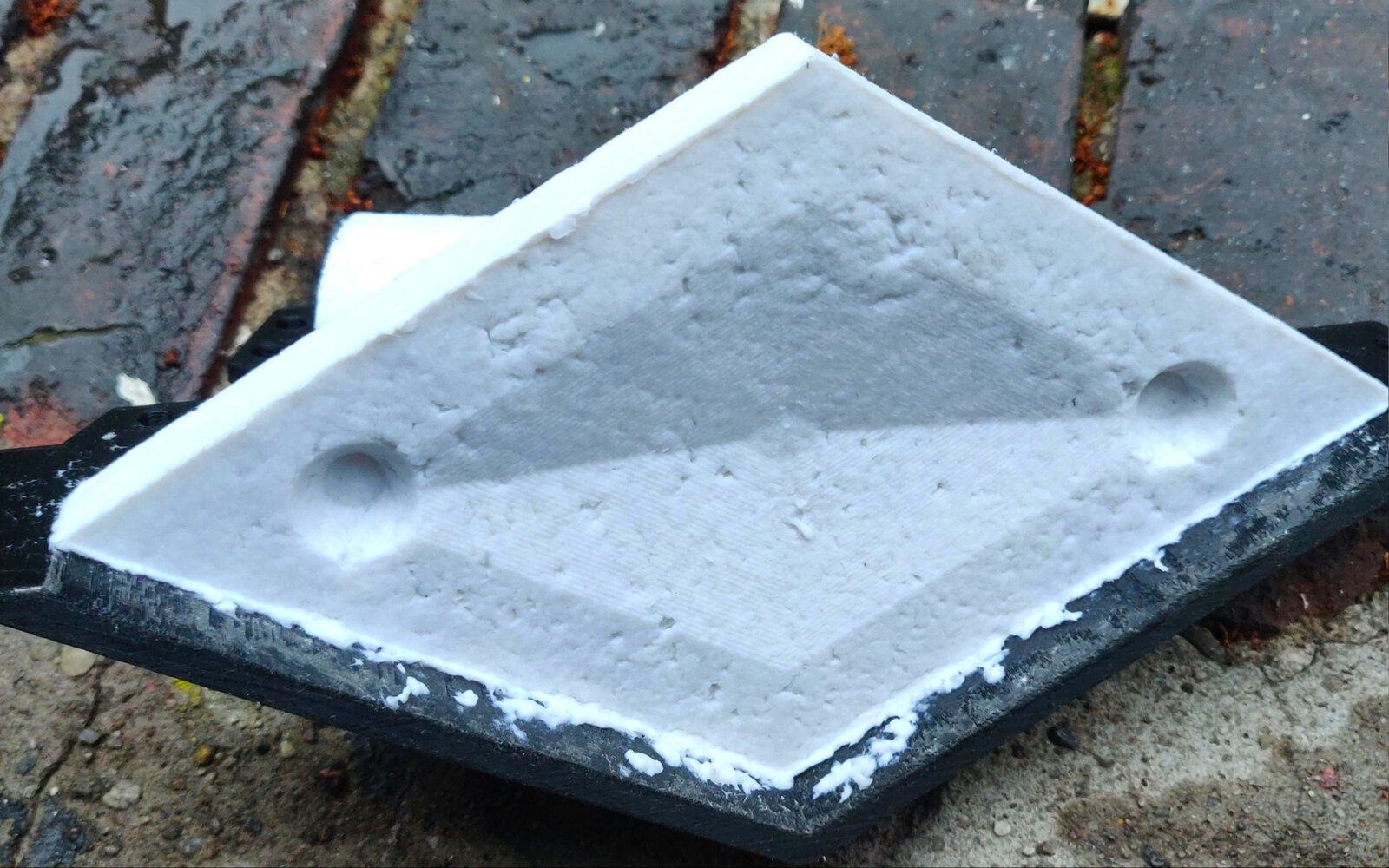 3D printed mold for biodegradable art