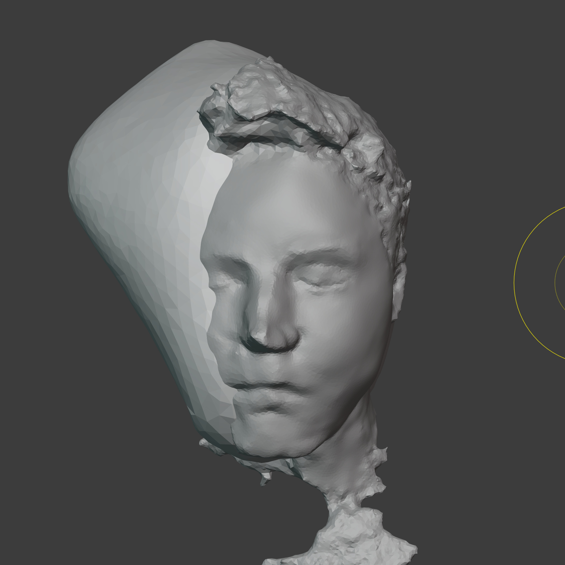 digital 3D portrait