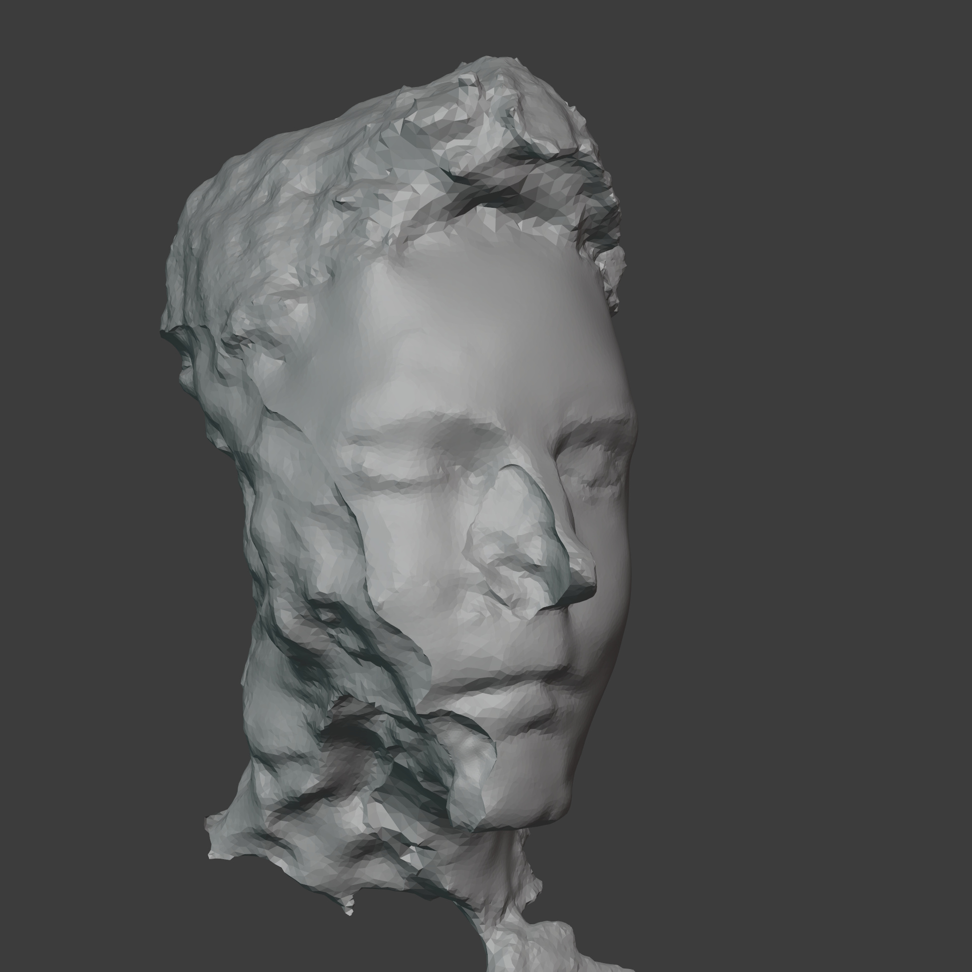digital 3D portrait